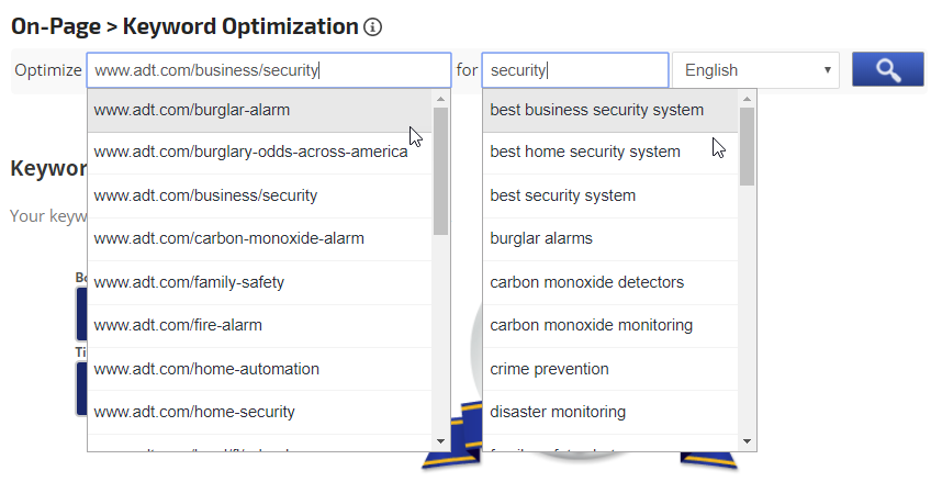 Create On-Page Keyword Optimization Report