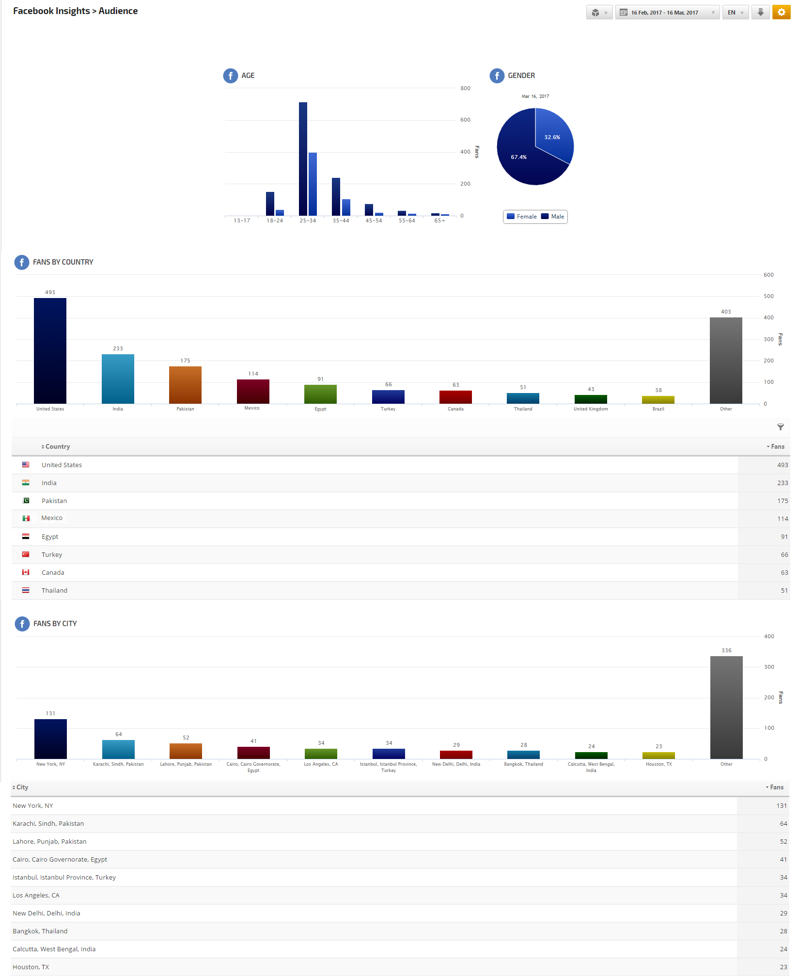 Facebook Audience Report