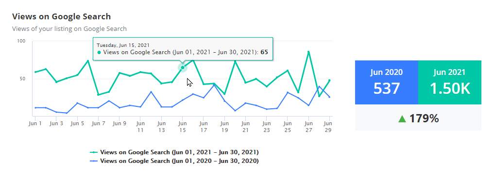 Google My Business Views on Google Search