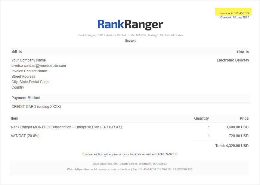 BlueSnap invoice example