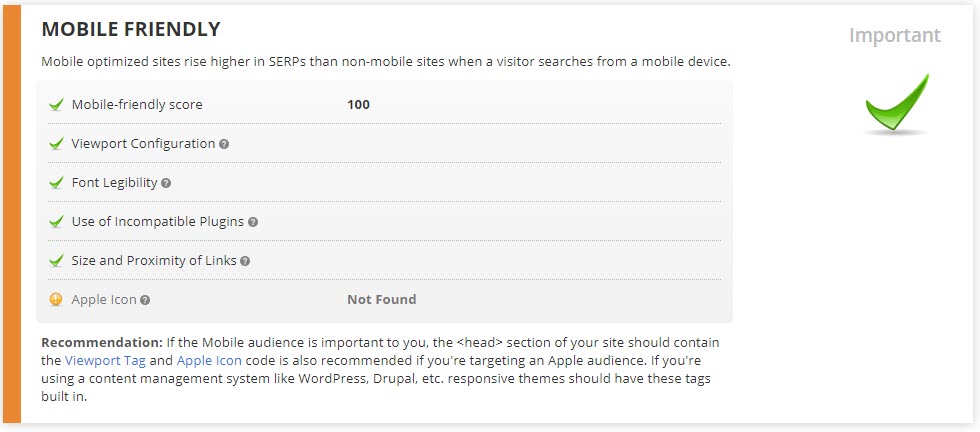 Is your site mobile friendly?